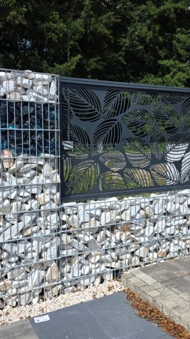 536269600_1080395047559233_6814909526745300616_n